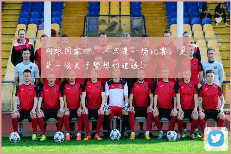 网球国家杯，不只是一场比赛，更是一场关于梦想的追逐！